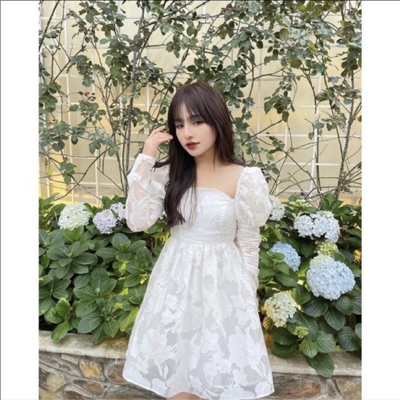 Taylor Dresses Dresses & Skirts - Dressed for women - Baby Doll